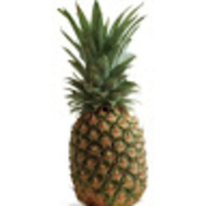 Meet your Posher, Logan